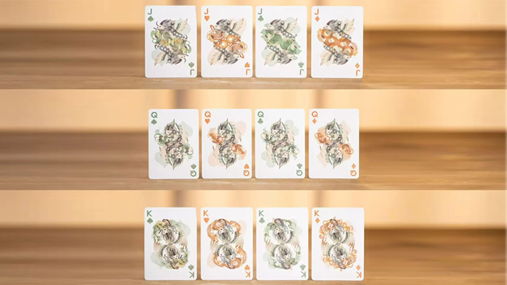 79788-alt2.png 79788-alt2.png