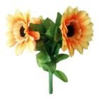 amazingsplitsun-alt1.png