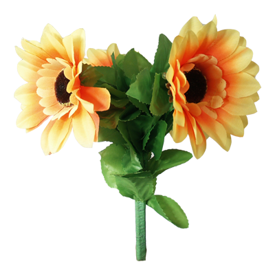 amazingsplitsun-alt1.png amazingsplitsun-alt1.png