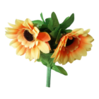 amazingsplitsun-alt2.png