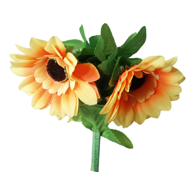 amazingsplitsun-alt2.png amazingsplitsun-alt2.png