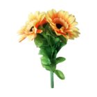 amazingsplitsun-full.png