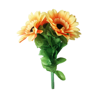 amazingsplitsun-full.png amazingsplitsun-full.png