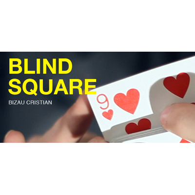 dvblindsquare-full.png dvblindsquare-full.png