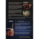 dvdstainshiv-alt1.jpg