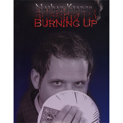dvdvdnkburningup-full.png dvdvdnkburningup-full.png