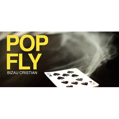 dvpopfly-full.png dvpopfly-full.png