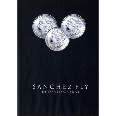 dvsanchezfly-full.png dvsanchezfly-full.png