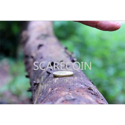 dvscarecoin-full.png dvscarecoin-full.png