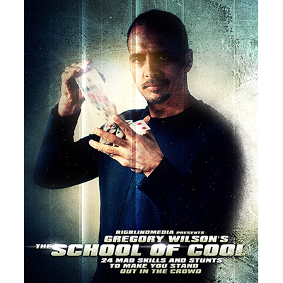 dvschoolofcool-full.png dvschoolofcool-full.png