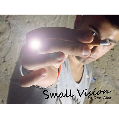 dvsmallvision-full.png dvsmallvision-full.png