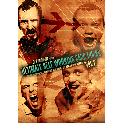 dvultimateselfwork-vol2-full.png dvultimateselfwork-vol2-full.png