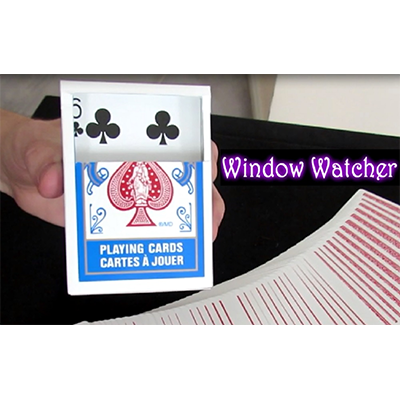 dvwindowwatcher-full.png dvwindowwatcher-full.png
