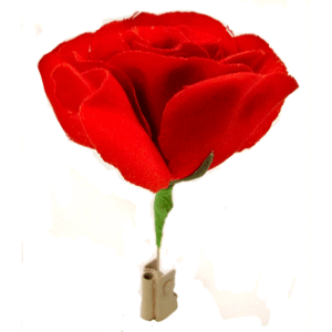Streichholz zu Rose Match to Rose - Zaubertrick