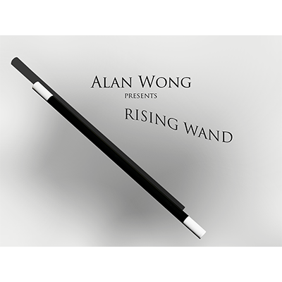 risingwand-full.png risingwand-full.png