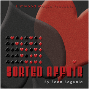 Sorted Affair (2013) von Sean Bogunia