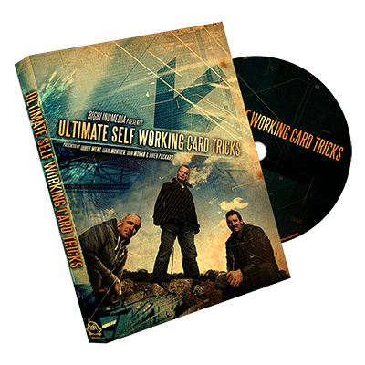 ultimateselfwork-full.png ultimateselfwork-full.png