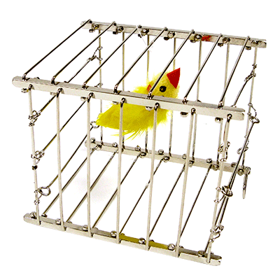vanbirdca-full.png vanbirdca-full.png