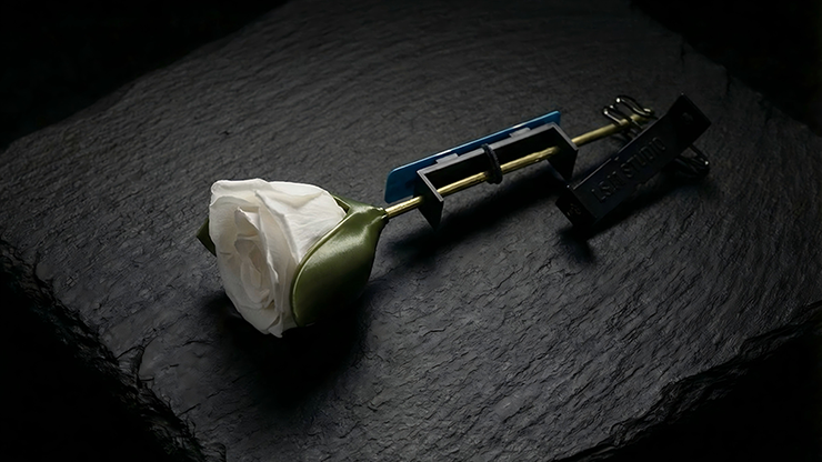 79975-alt2.png 79975-alt2.png