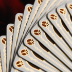 80041-alt3.png