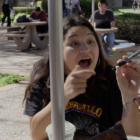 79272-alt4-2.png