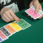80334-alt1-1.png