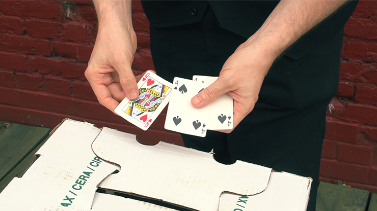 60635-alt5.png 60635-alt5.png