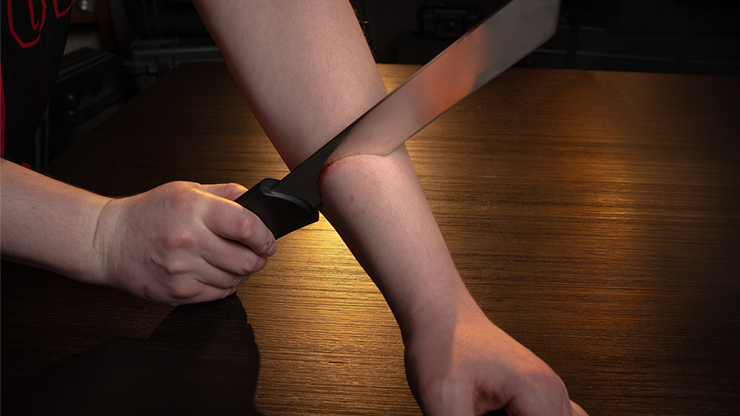 77141-alt2.png 77141-alt2.png