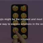 78042-alt5.png