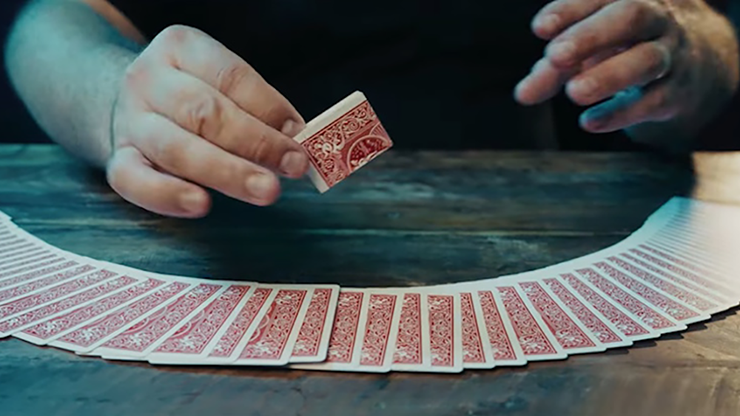 80229-alt4.png 80229-alt4.png