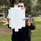80390-alt3.png