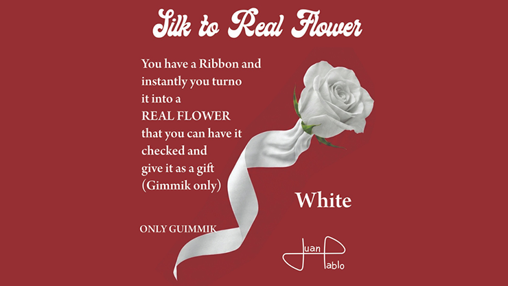 80414-full-1.png 80414-full-1.png